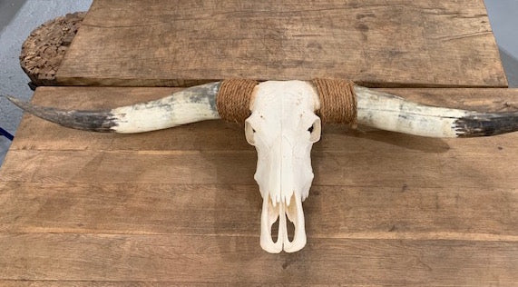 Vintage Long Horn  Wall Mount Skull  # 5735