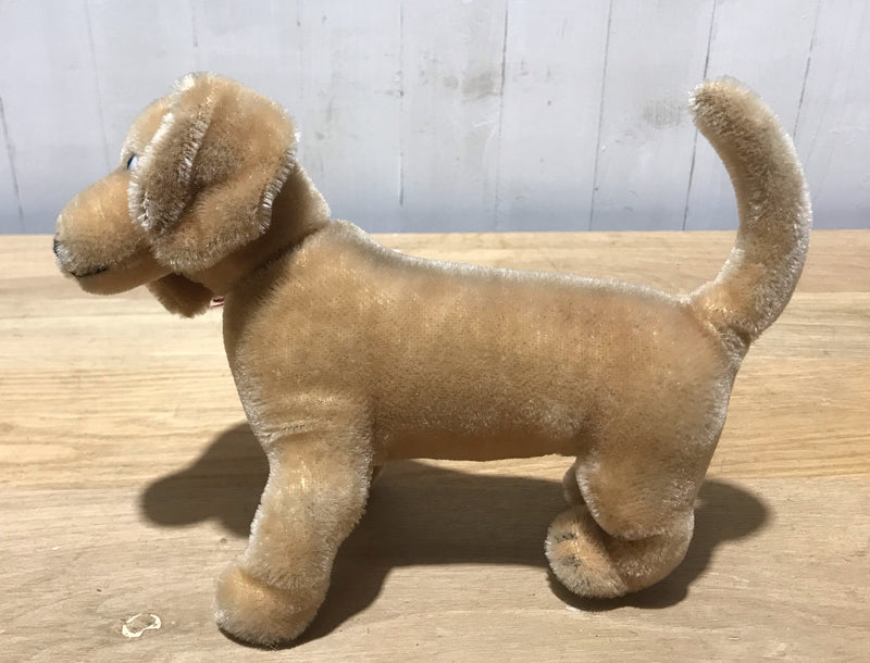 Vintage German Steiff Small Dog  #s21