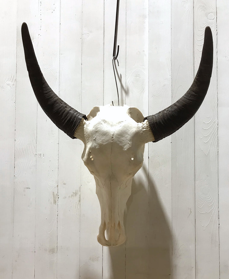 Vintage Buffalo Skull Wall Mount # 4195