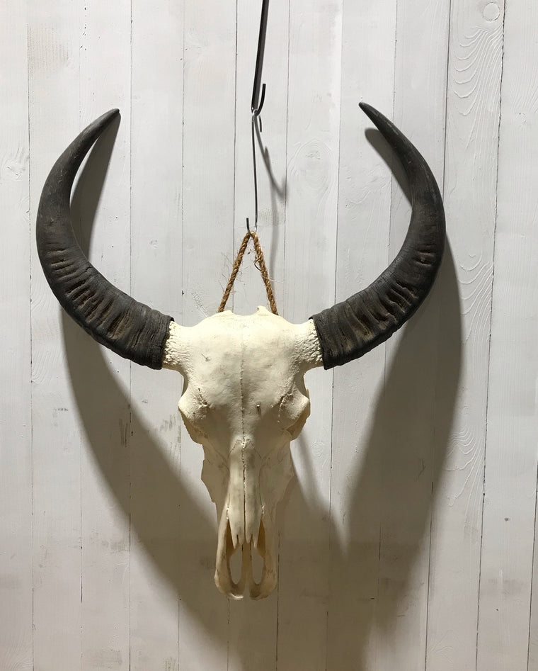 Vintage Buffalo Skull Wall Mount # 4196