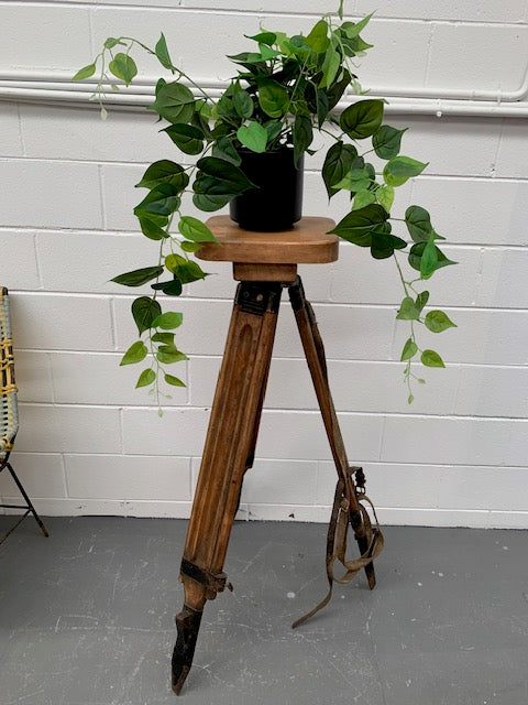 Vintage European Wooden Plant Stand #5226