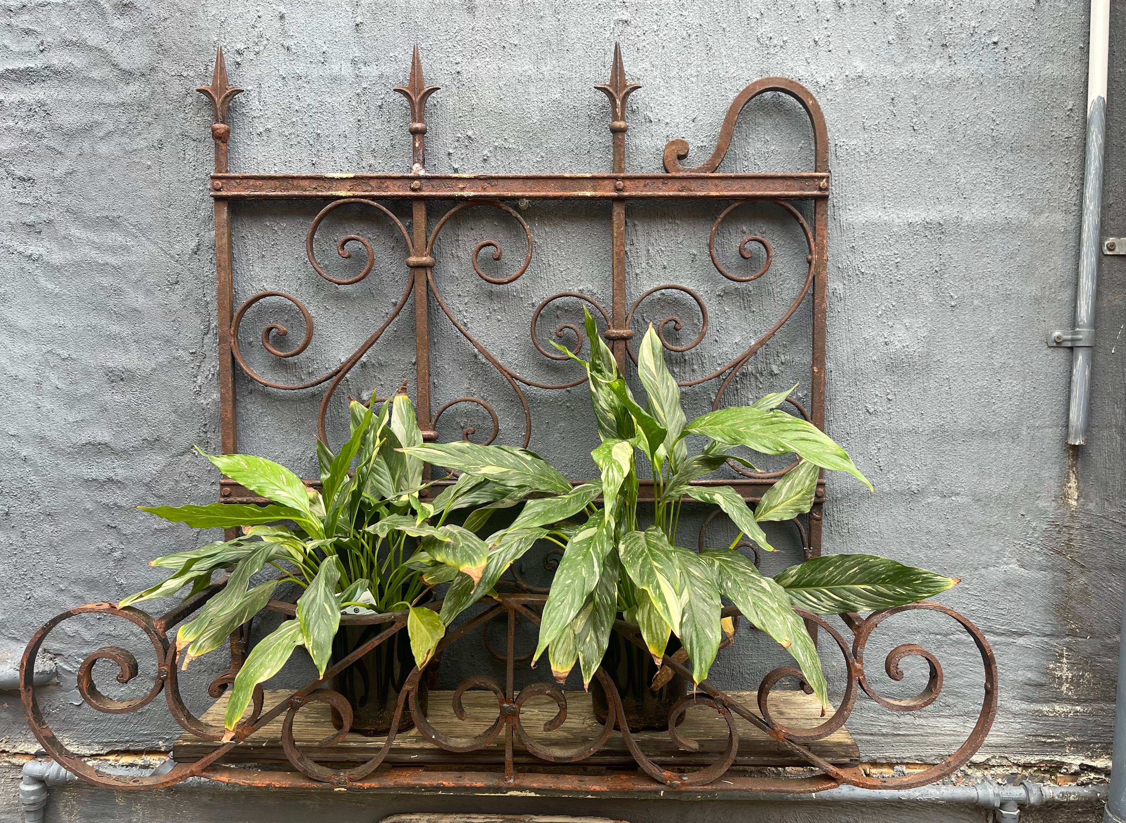 Vintage Wrought Iron Wall / Balcony Planter #6813