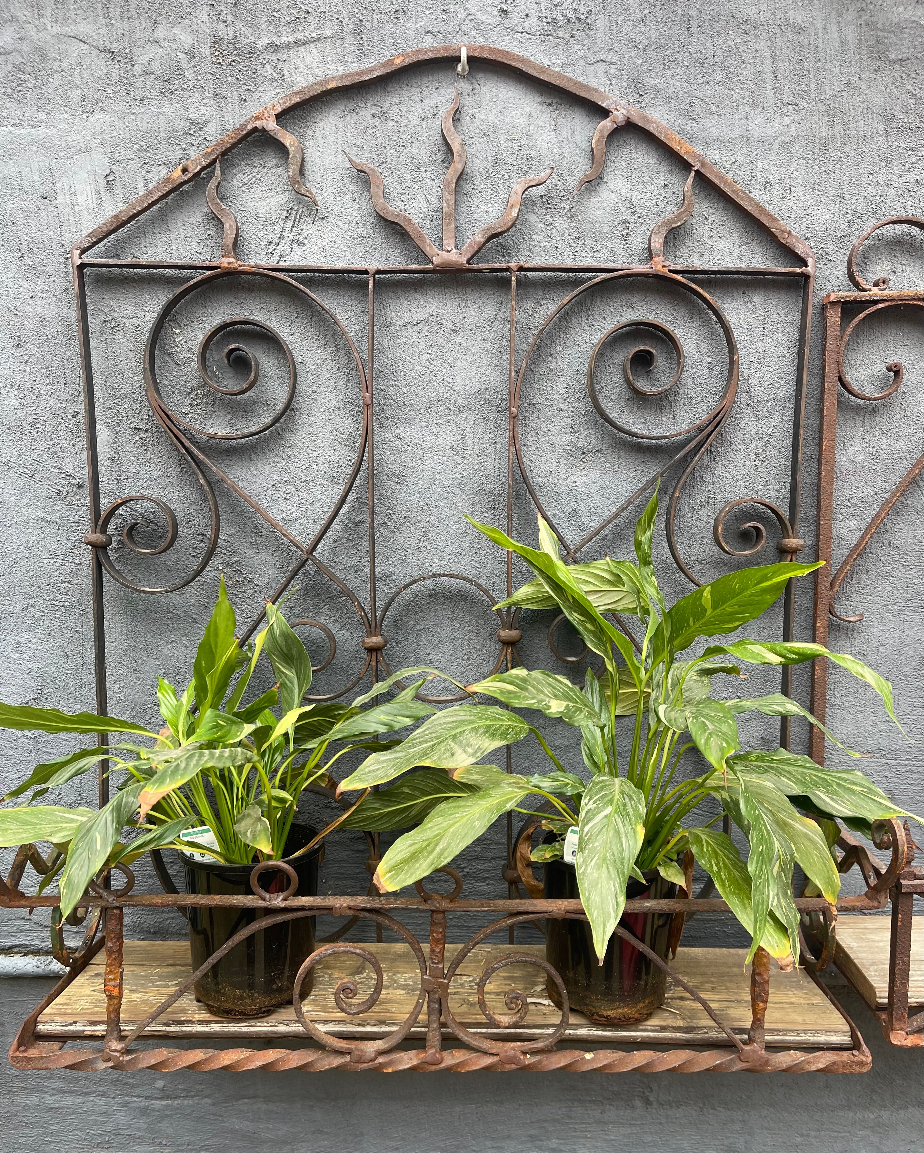 Vintage Wrought Iron Wall / Balcony Planter #6815