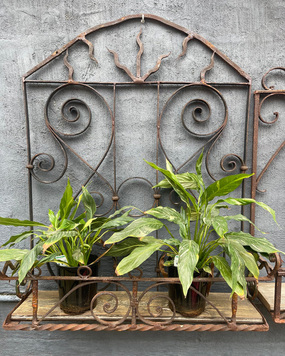 Vintage Wrought Iron Wall / Balcony Planter #6815