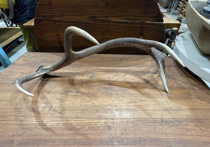 Vintage Deer Antler # 6882