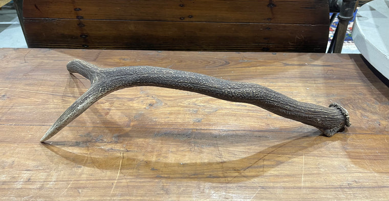 Vintage Deer Antler # 6883