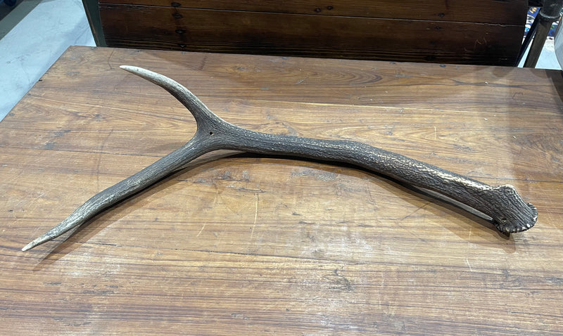 Vintage Deer Antler # 6883