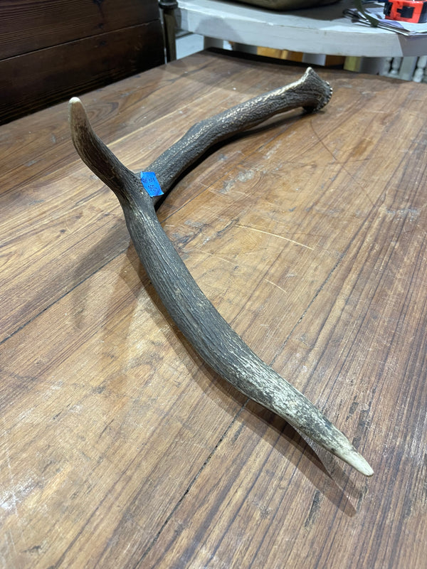 Vintage Deer Antler # 6883