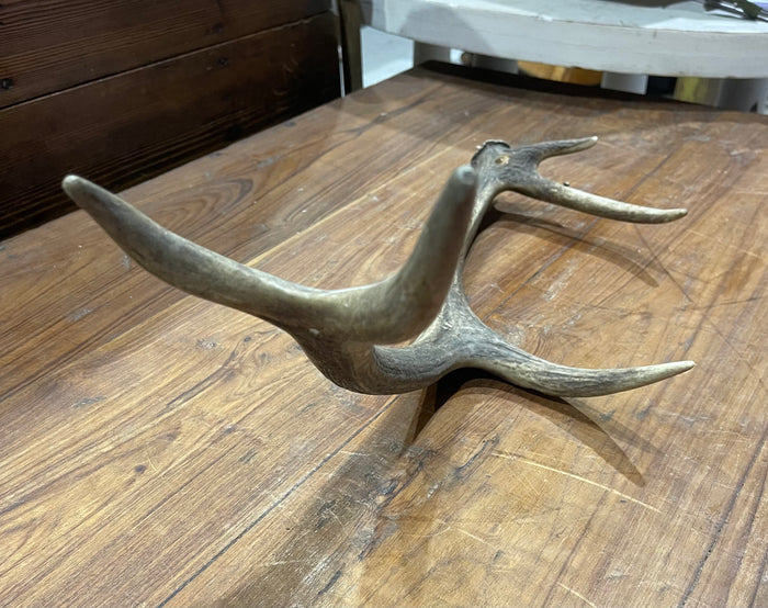 Vintage Deer Antler # 6884