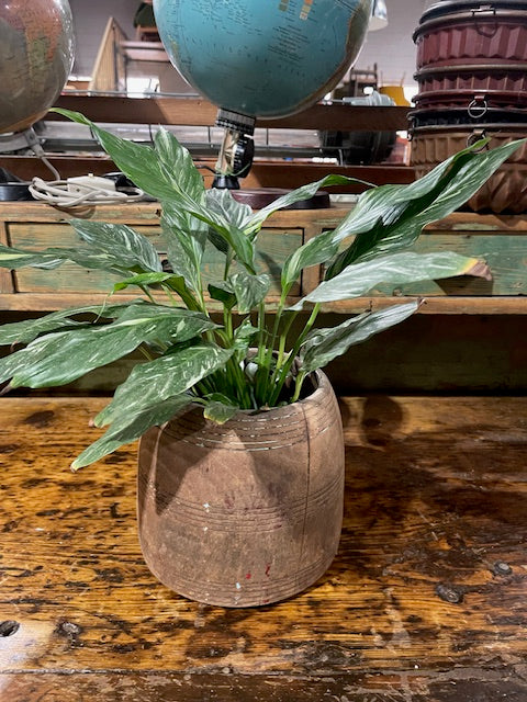 Vintage  Wooden  Bowl /  Planter #6067  Byron