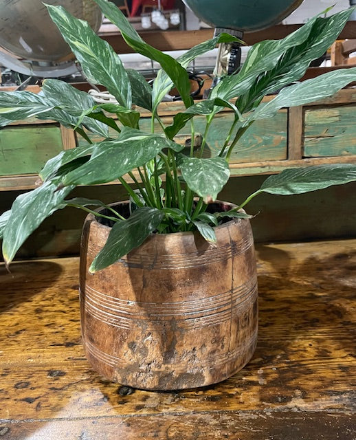 Vintage  Wooden  Bowl /  Planter #6069