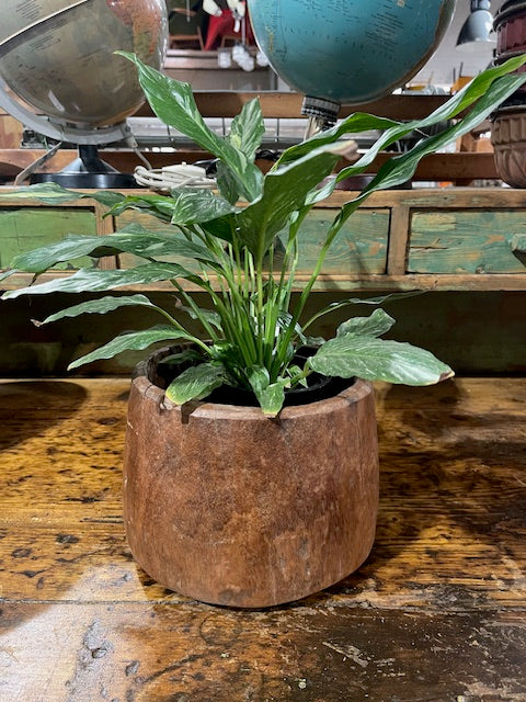 Vintage  Wooden  Bowl /  Planter #6070