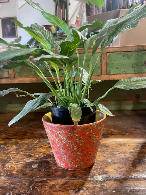 Vintage Hungarian Tofej Fat Lava  Terracotta Planter  #6185