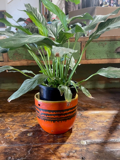 Vintage Hungarian  Terracotta Planter  #6186