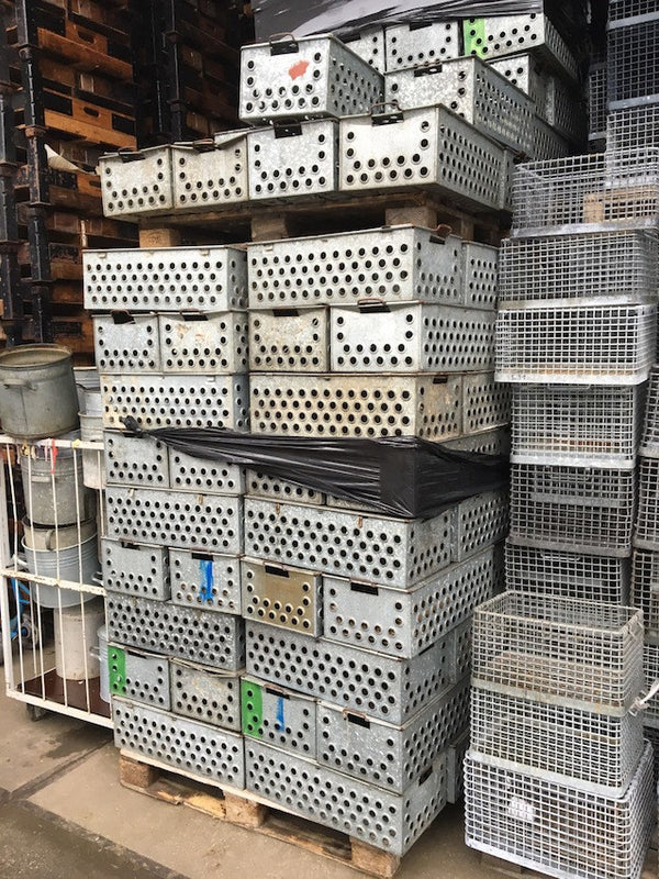 Vintage Galvanised Lobster Crate  #6781  Byron