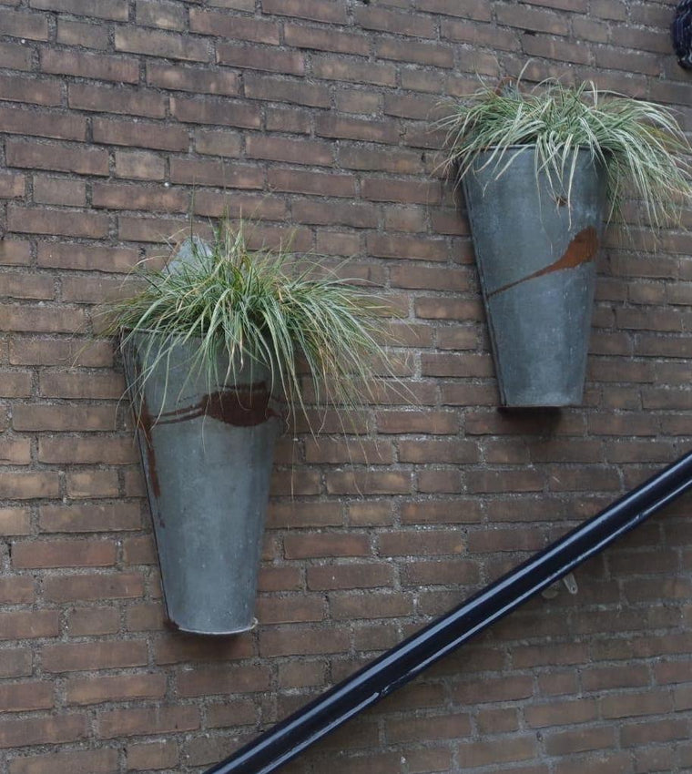 European Galvanised Wall Planter #2552