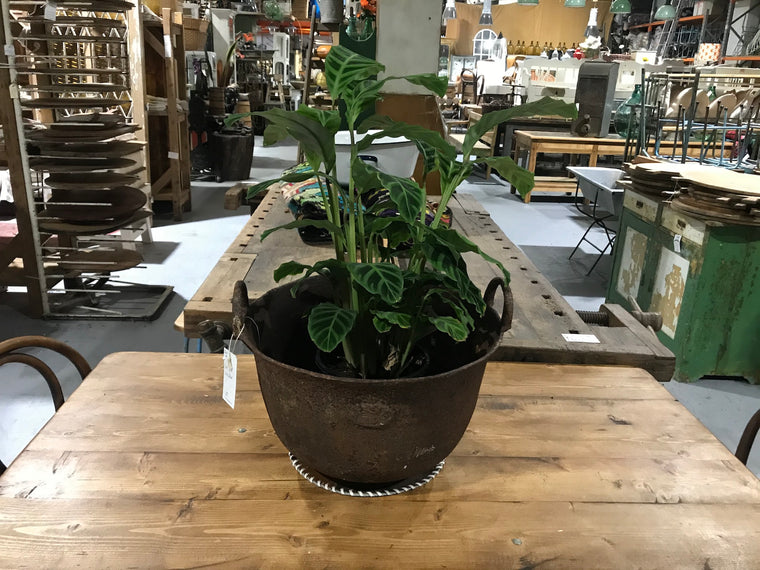 Vintage industrial European cast iron cauldron pot #2651