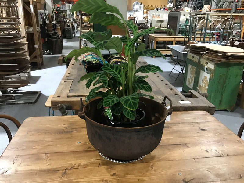 Vintage industrial European cast iron cauldron pot #2653