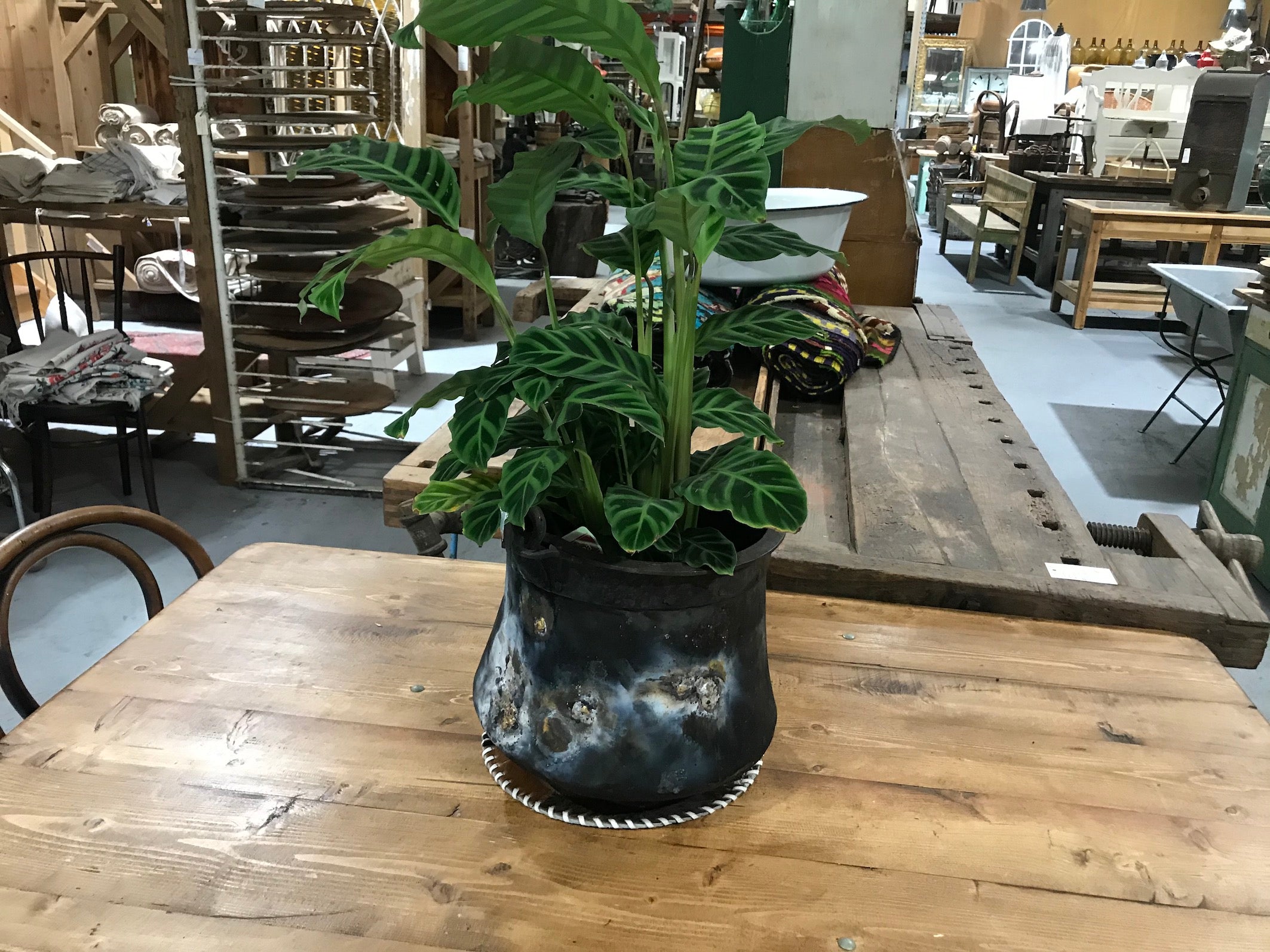 Vintage industrial European  Copper cauldron pot #2655 planter