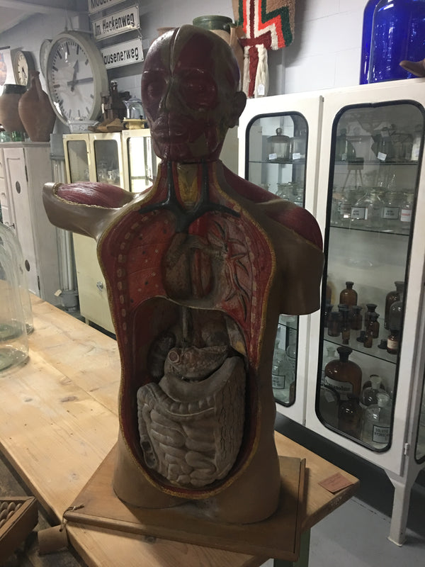 Vintage industrial French 1940s medical body #1355