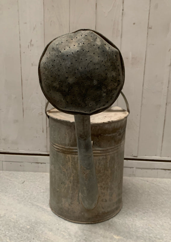 Rustic European Vintage  Galvenized Watering Can  #4812