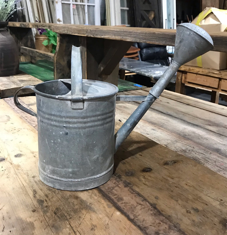 European Vintage Galvenized Watering Can  #4025