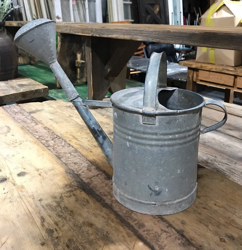 European Vintage Galvenized Watering Can  #4025