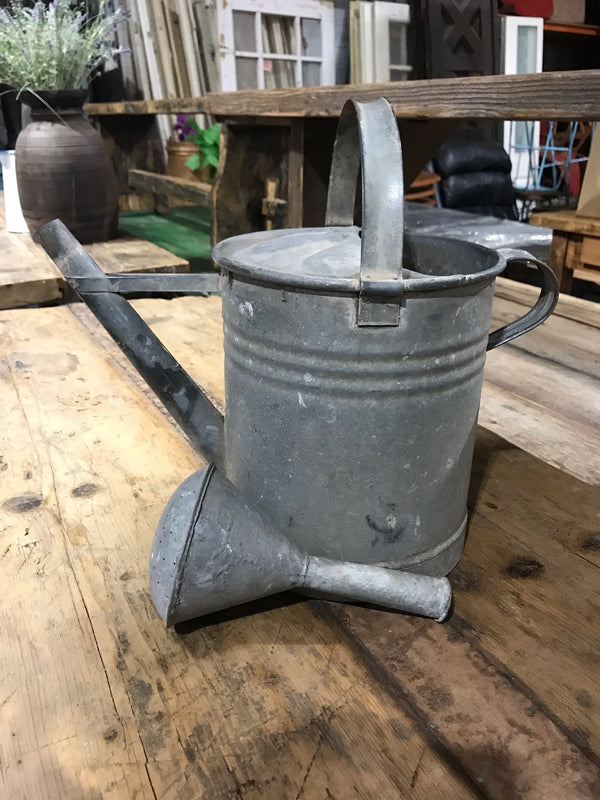European Vintage Galvenized Watering Can  #4025