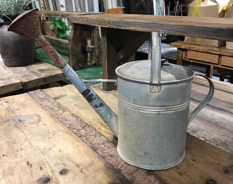 European Vintage  Galvenized Watering Can  #4026