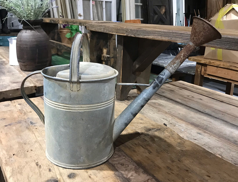 European Vintage  Galvenized Watering Can  #4026
