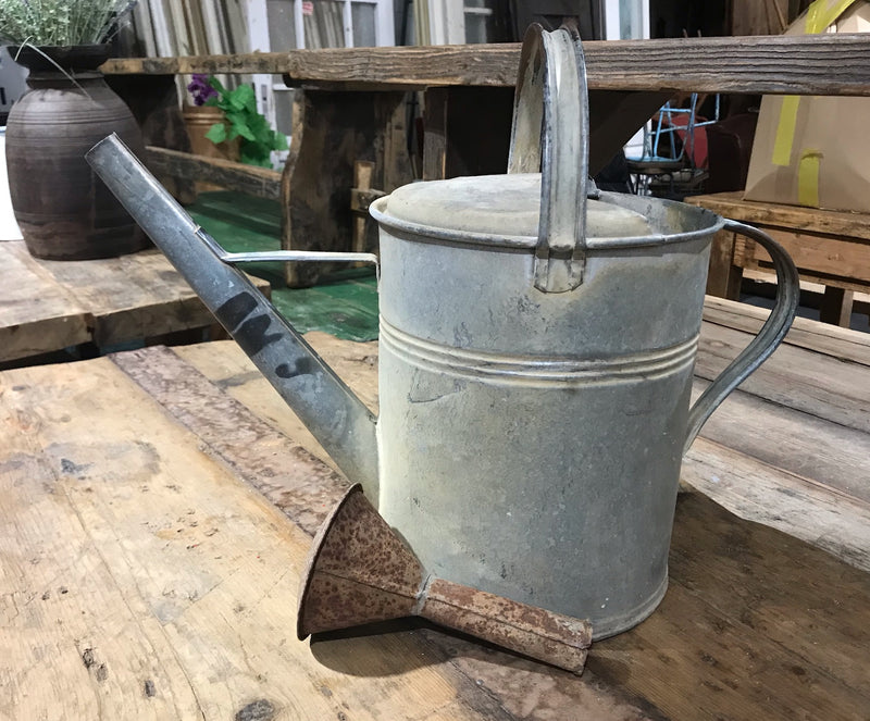 European Vintage  Galvenized Watering Can  #4026