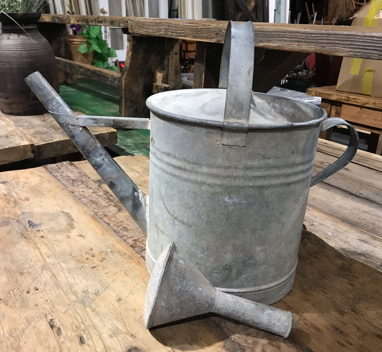 European Vintage Galvenized Watering Can  #4027