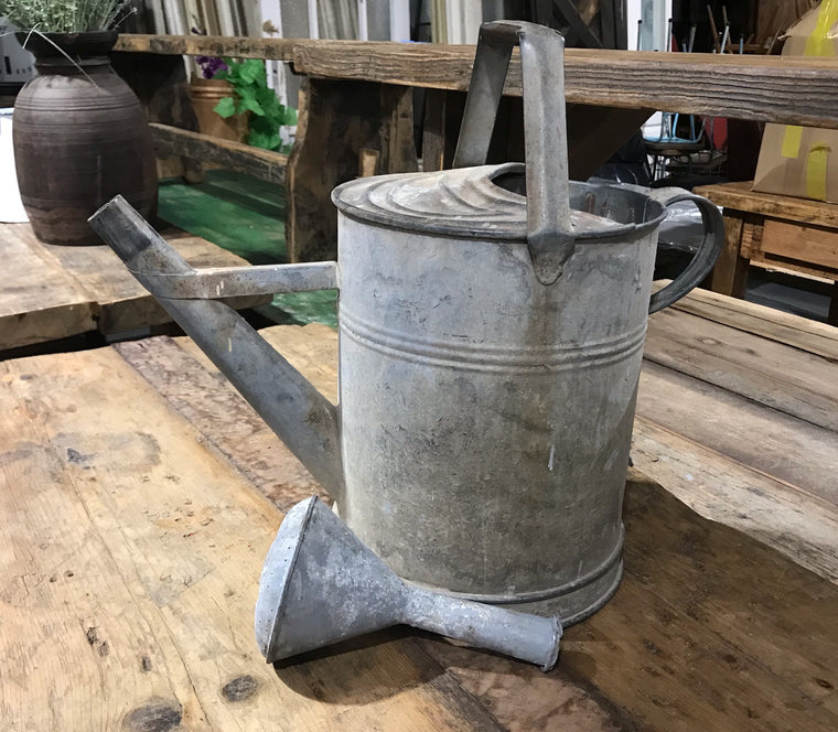 European Vintage Galvenized Watering Can  #4028