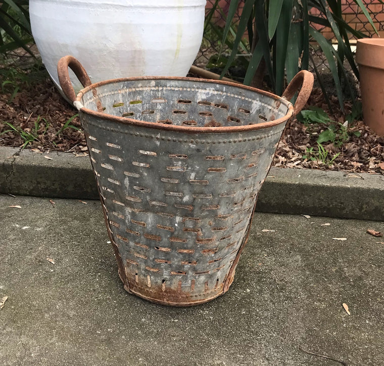 Vintage Turkish Olive Picking Bucket  #4086