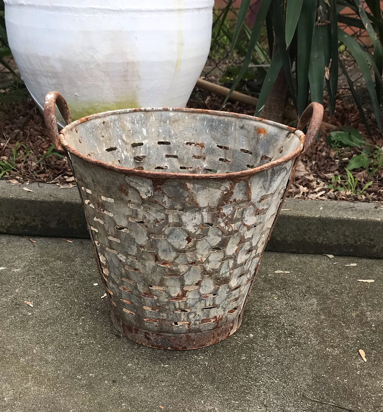 Vintage Turkish Olive Picking Bucket  #4087