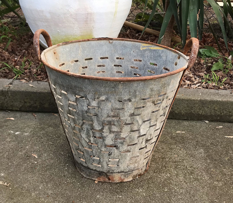 Vintage Turkish Olive Picking Bucket  #4090