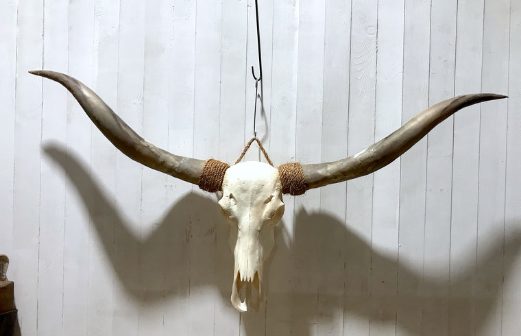 Vintage Long Horn Skull Wall Mount # 4191