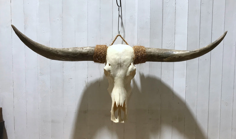 Vintage Long Horn Skull Wall Mount # 4192