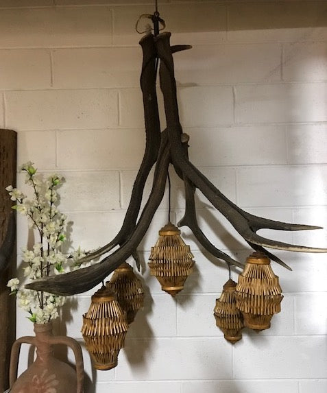 Vintage European Antler Light  #4303