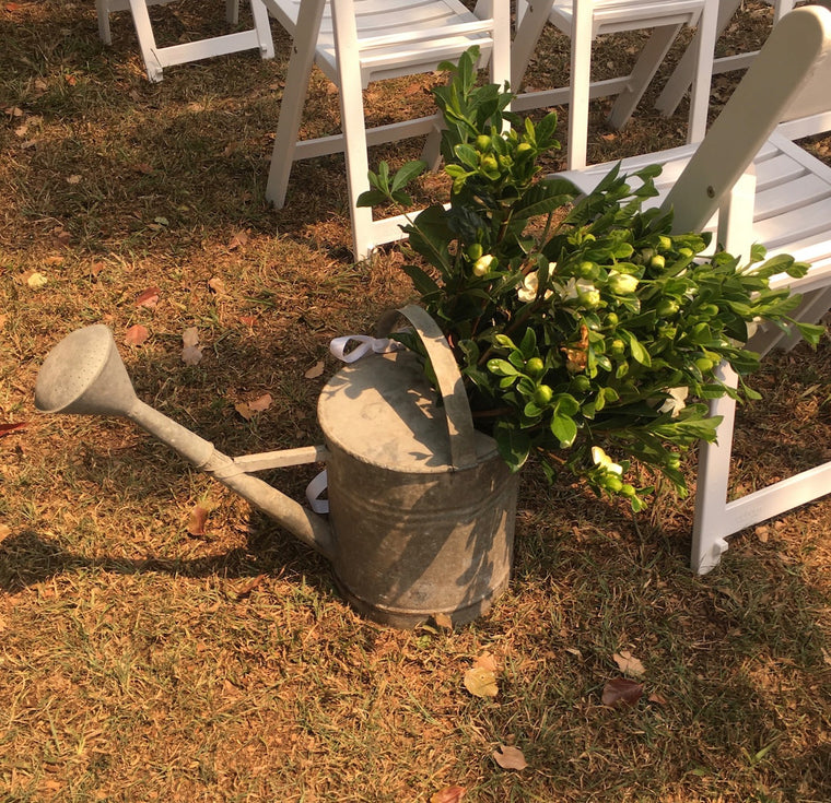 # Gallery 9 Shaylah & Sams Wedding