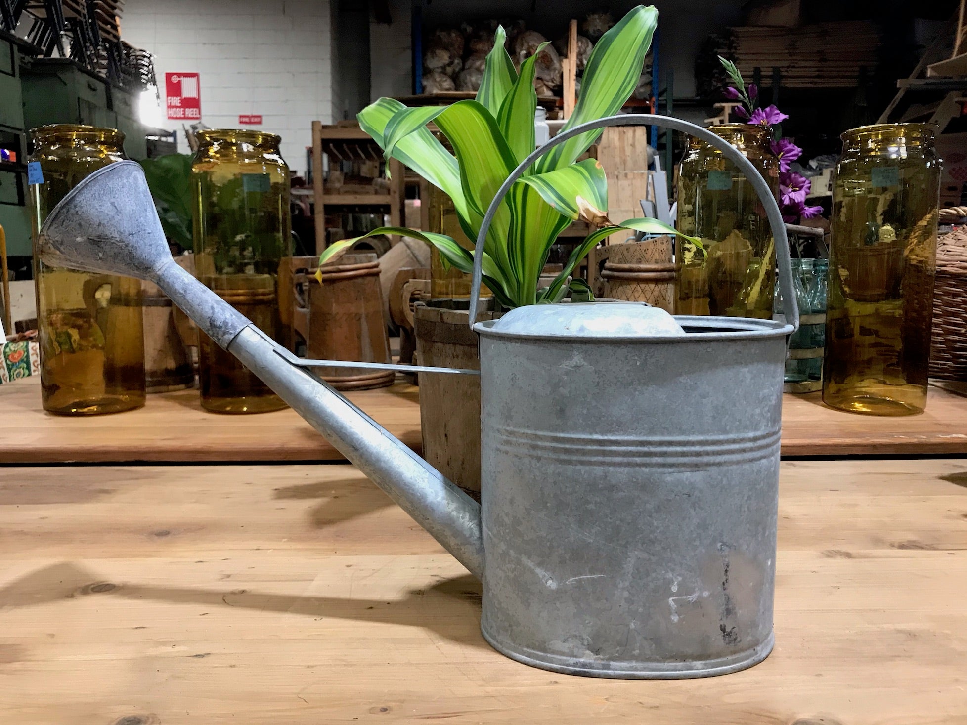 Vintage European  Galvenized Watering Cans #3446/ 2