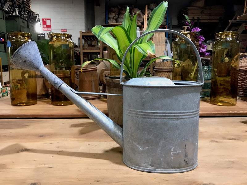 Vintage European  Galvenized Watering Cans #3446/ 2