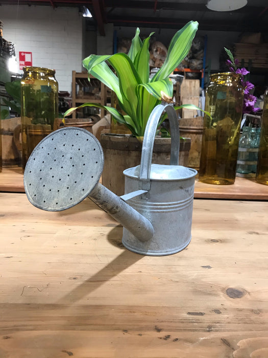 Vintage European  Galvenized Watering Cans #3446/ 3
