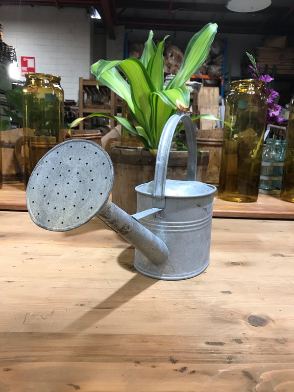 Vintage European  Galvenized Watering Cans #3446/ 3