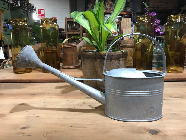 Vintage European  Galvenized Watering Cans #3446/ 3