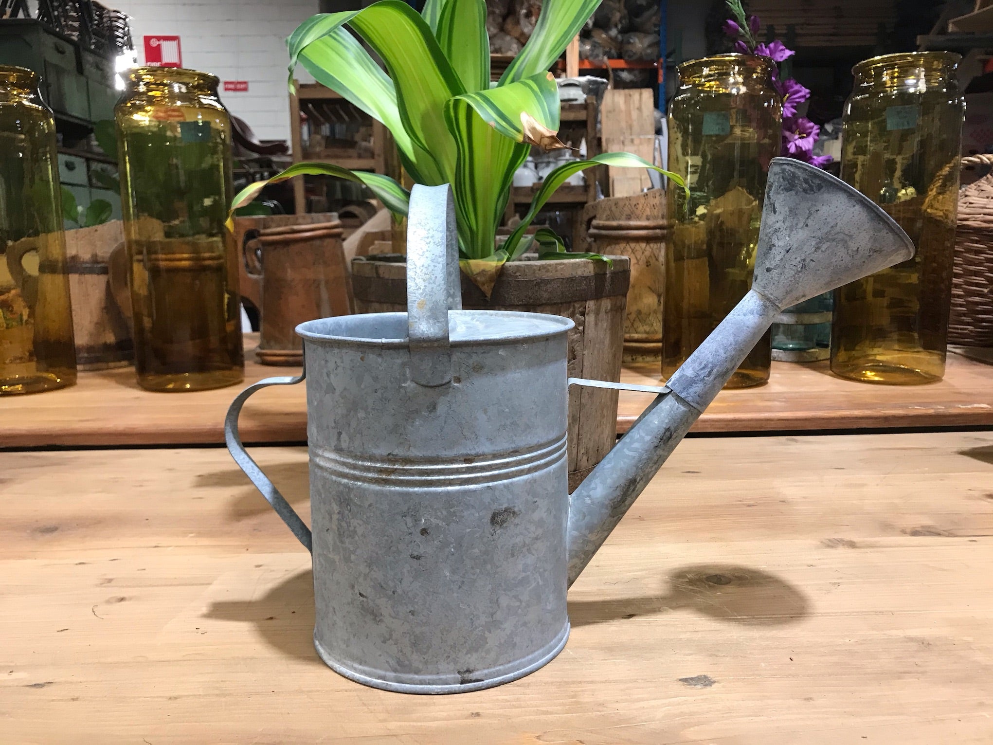 Vintage European  Galvenized Watering Cans #3446/  5