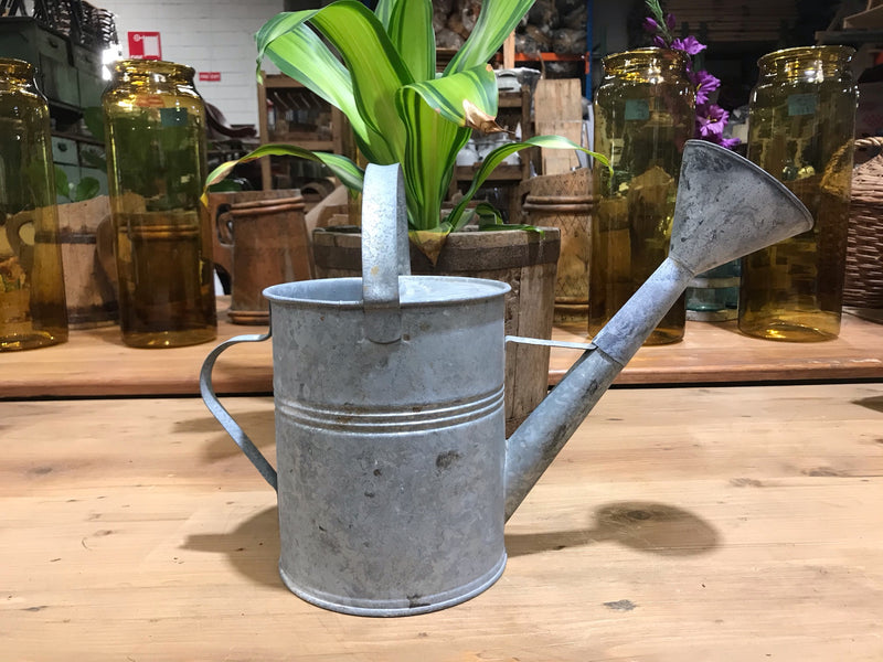 Vintage European  Galvenized Watering Cans #3446/  5