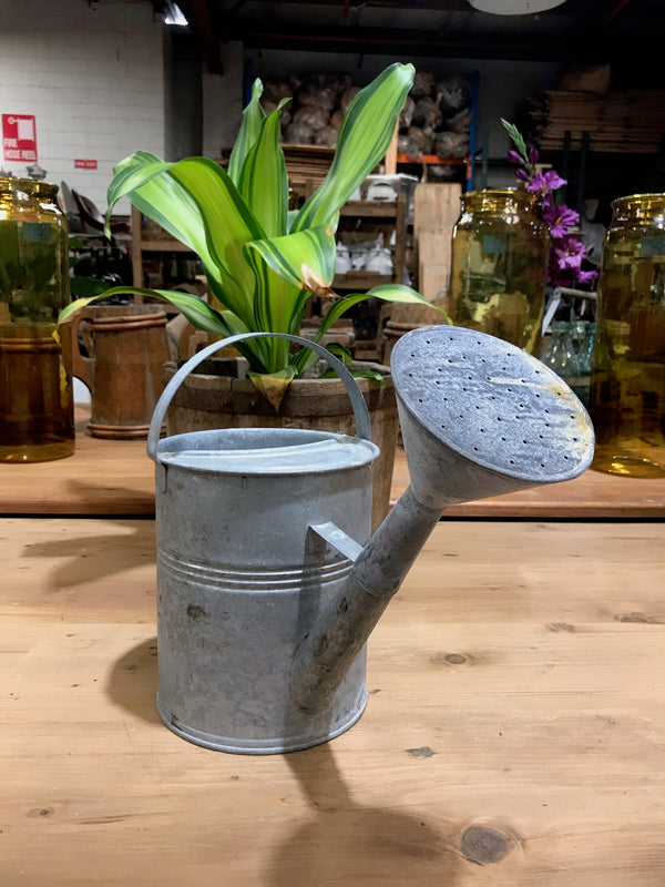 Vintage European  Galvenized Watering Cans #3446/  5