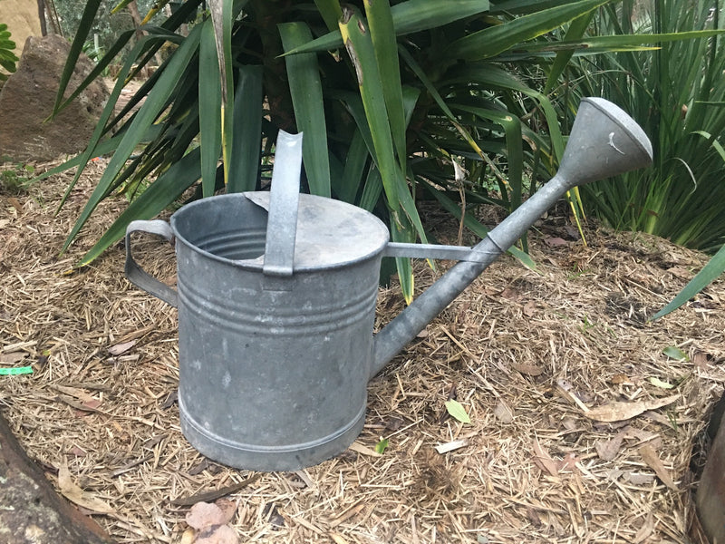 Vintage European  Galvenized Watering Cans #2847