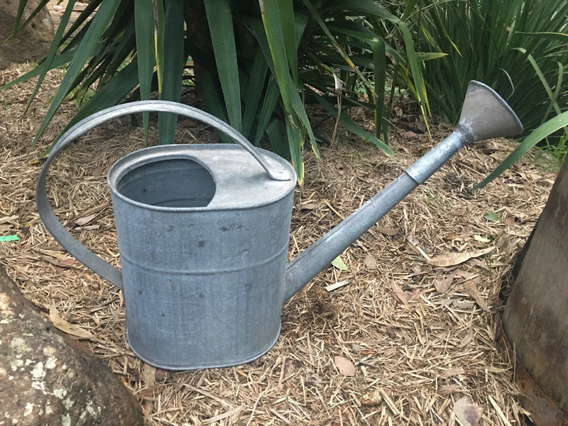 Vintage European  Galvenized Watering Cans #2848